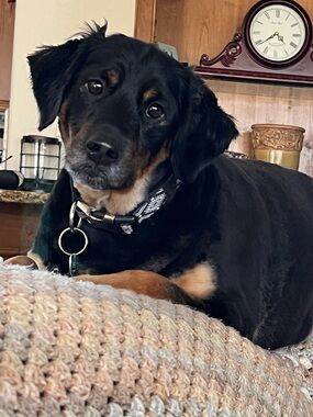 Meet your Posher, Jenny